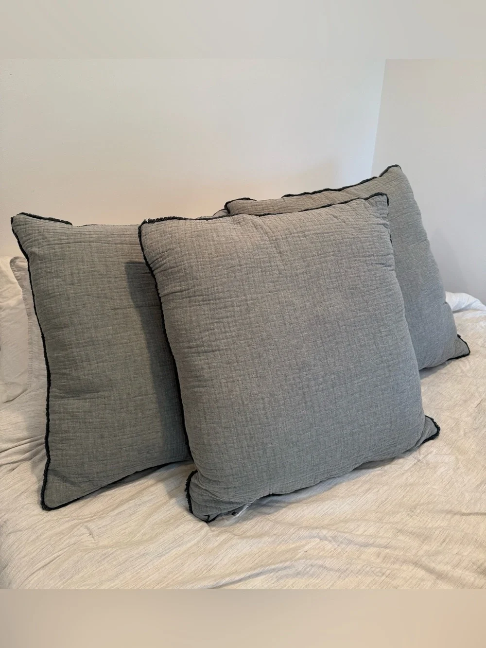 Casaluna Pillows Set of 3 Euro 26